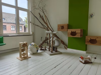 Kattenhotel Oase te Geleen