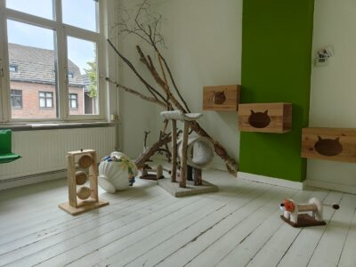 Kattenhotel Oase te Geleen