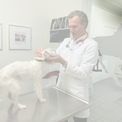 Drs. Bert Pijls